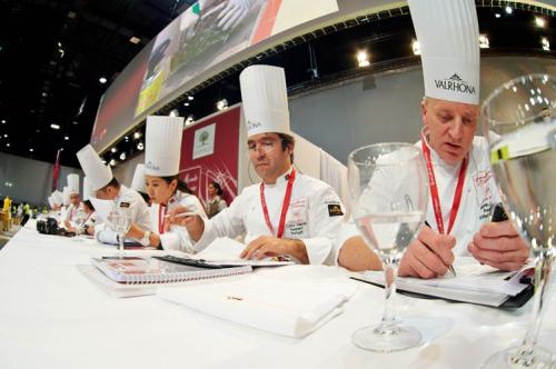 8993-CMP 2013-jury